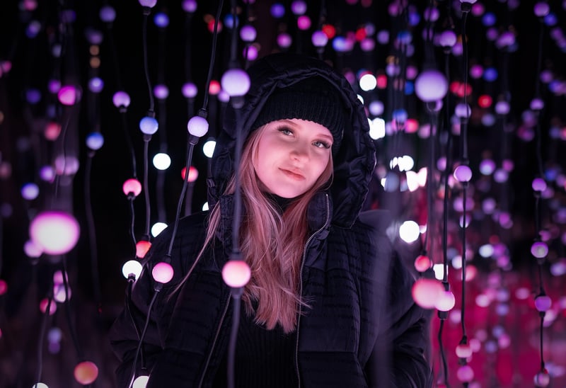 Fairy Lights in Garden